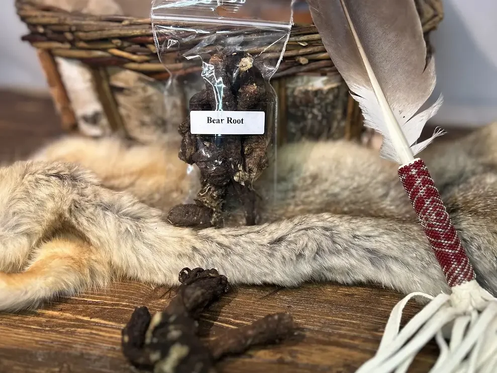 06 Bear Root